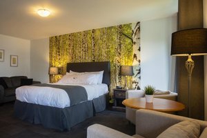 Chambre et suite