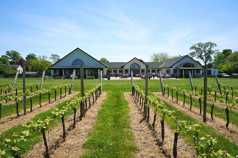 are dogs allowed in the wineries on long island