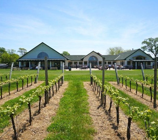 CROTEAUX VINEYARDS (Southold) - 2022 What to Know BEFORE You Go