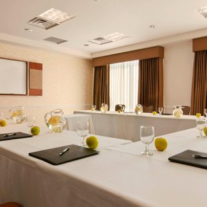 Hilton Garden Inn Boston Logan Airport, hotel in Boston