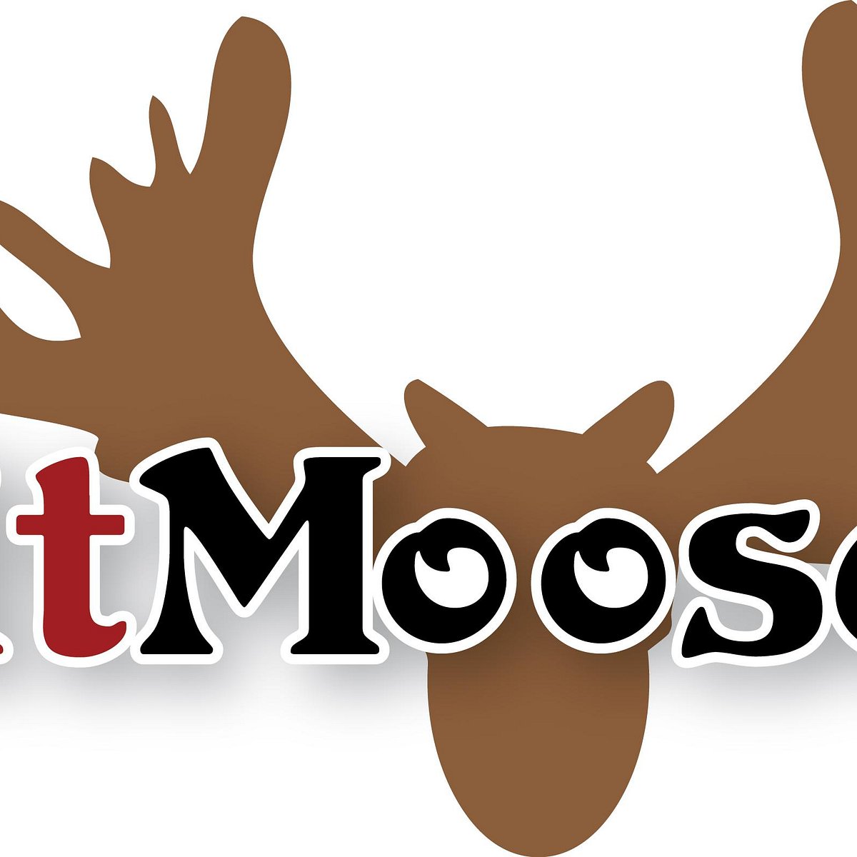 fitmoose-llc-bar-harbor-me-address-phone-number-tripadvisor