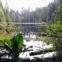 Mundy Lake