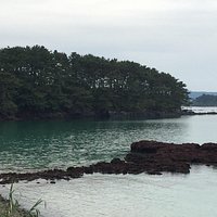 曇っていても綺麗だ