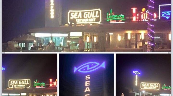 New SEAGULL Restaurant in Alexandria / Gleem