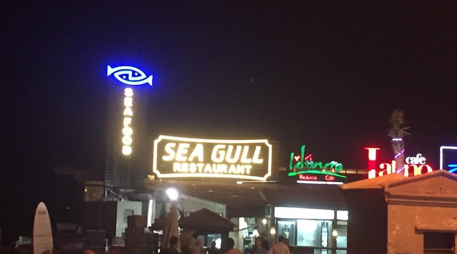 New SeaGull Restaurant in Alexandria / Gleem