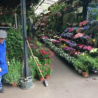 Blooms & Blossoms