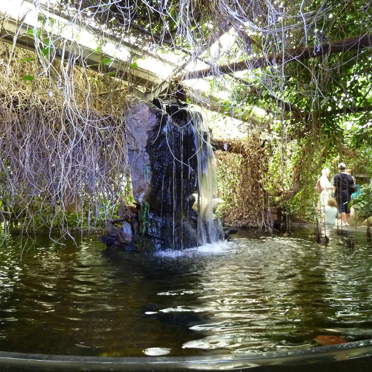 Fjarilshuset (Butterfly House), Стокгольм: лучшие советы перед посещением -  Tripadvisor