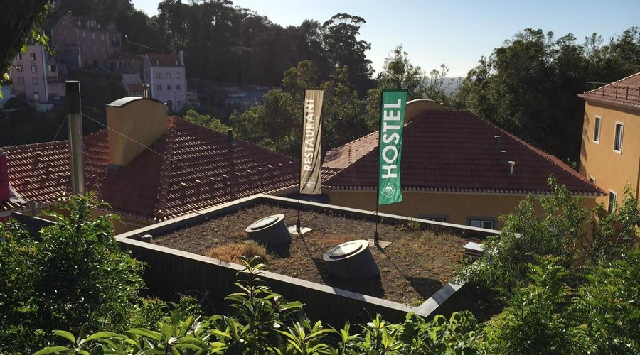 The rooftop view