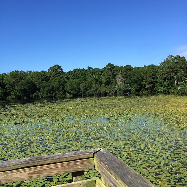 Washington Oaks Gardens State Park (Palm Coast) - All You Need to Know