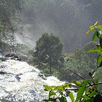 Este es el salto