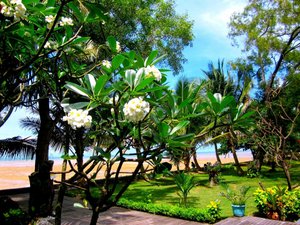 Wisatawan