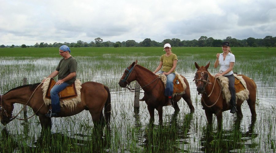 Cavalgada pantanal alagado