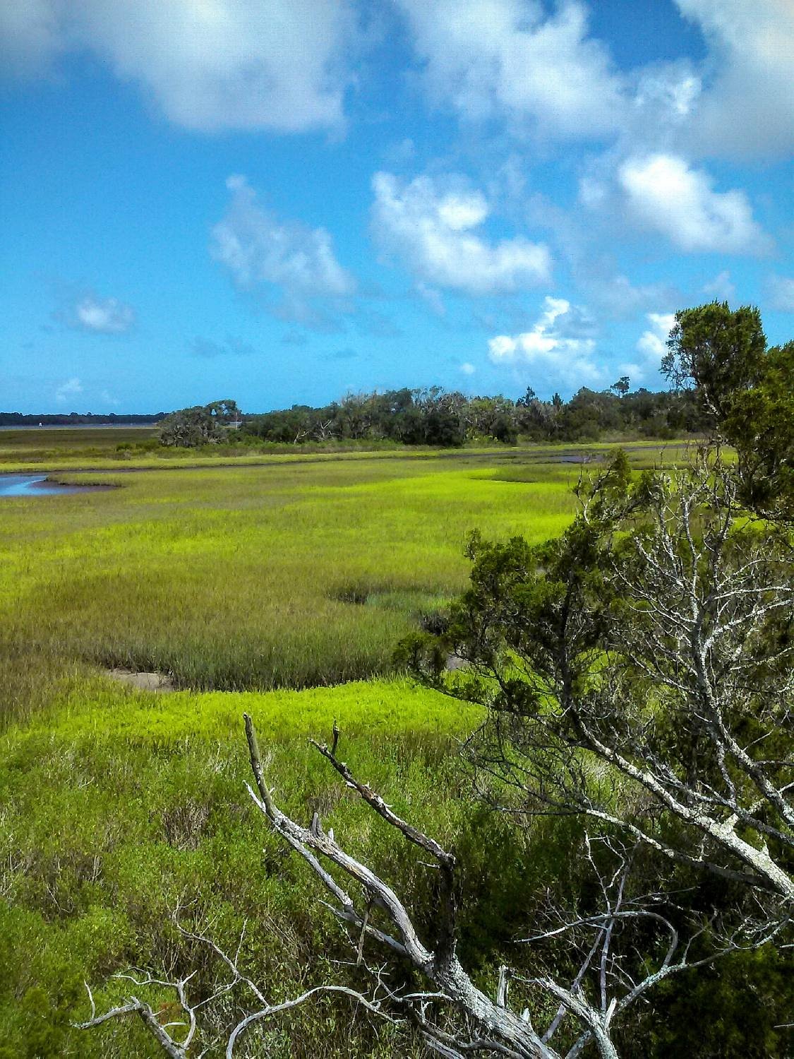 Conservation Landing