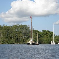 sailing boats on Salhouse Broad