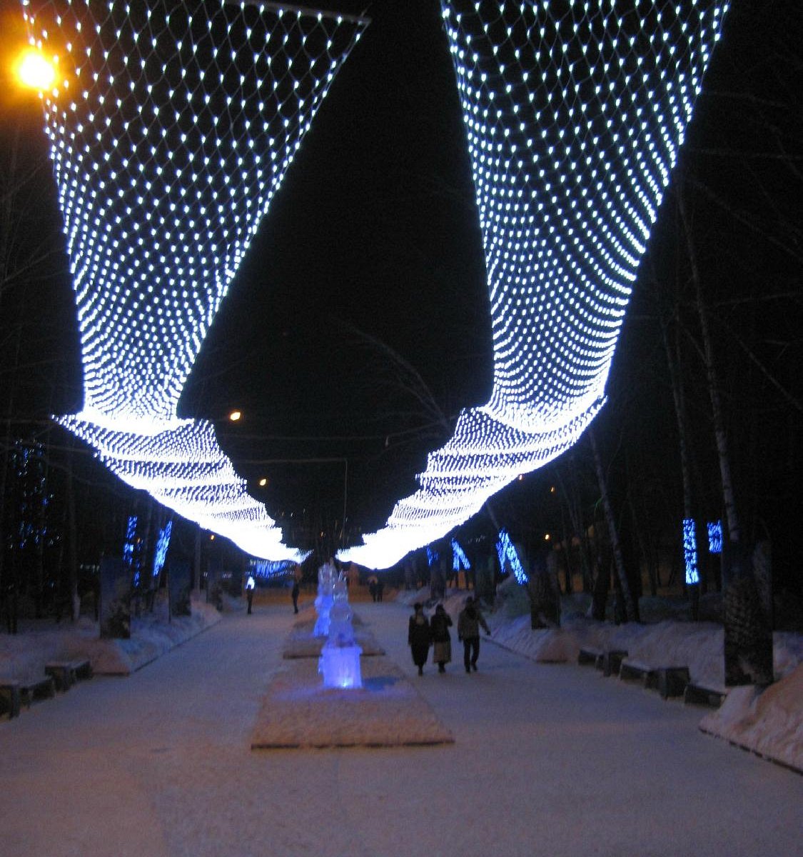 Центральный парк Барнаул зимой