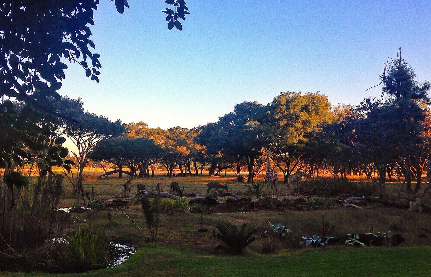 Harare, Zimbabwe 2023: Best Places to Visit - Tripadvisor
