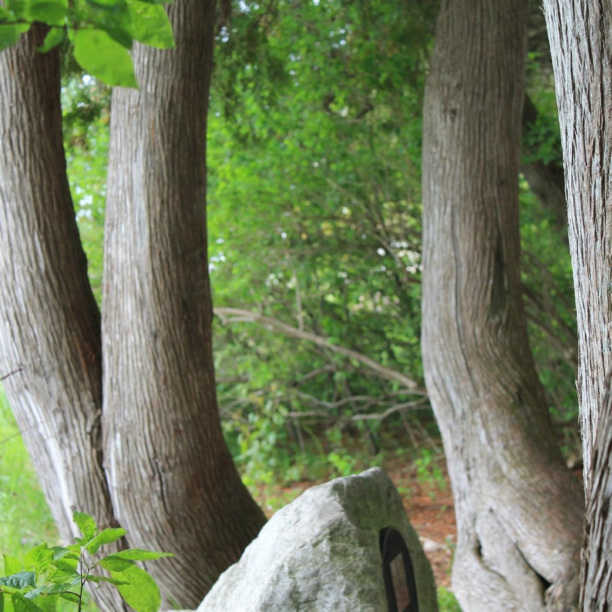 is-it-you-spot-from-somewhere-in-time-movie-mackinac-island-lohnt