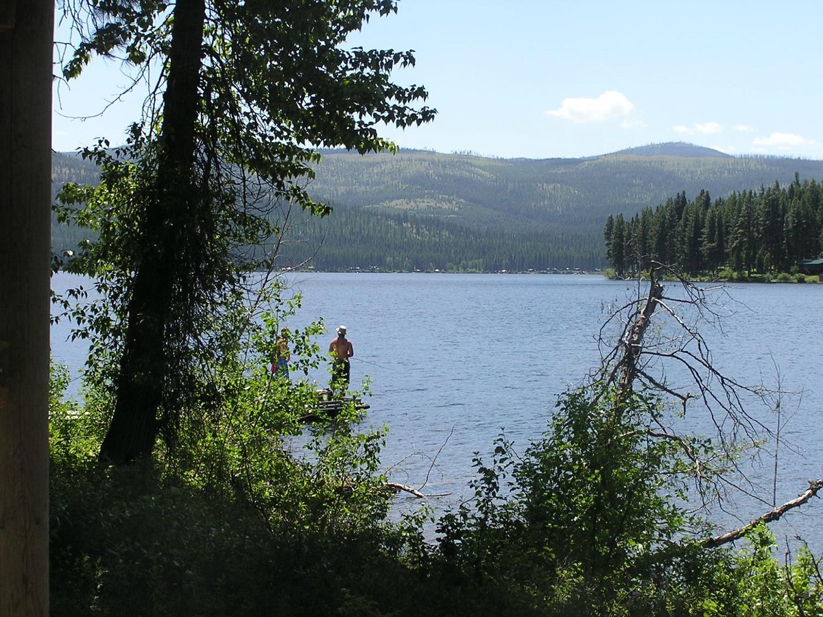 Escape to Serenity: Montana's Placid Lake State Park - Your Gateway to Pristine Wilderness