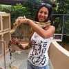 Eleao86