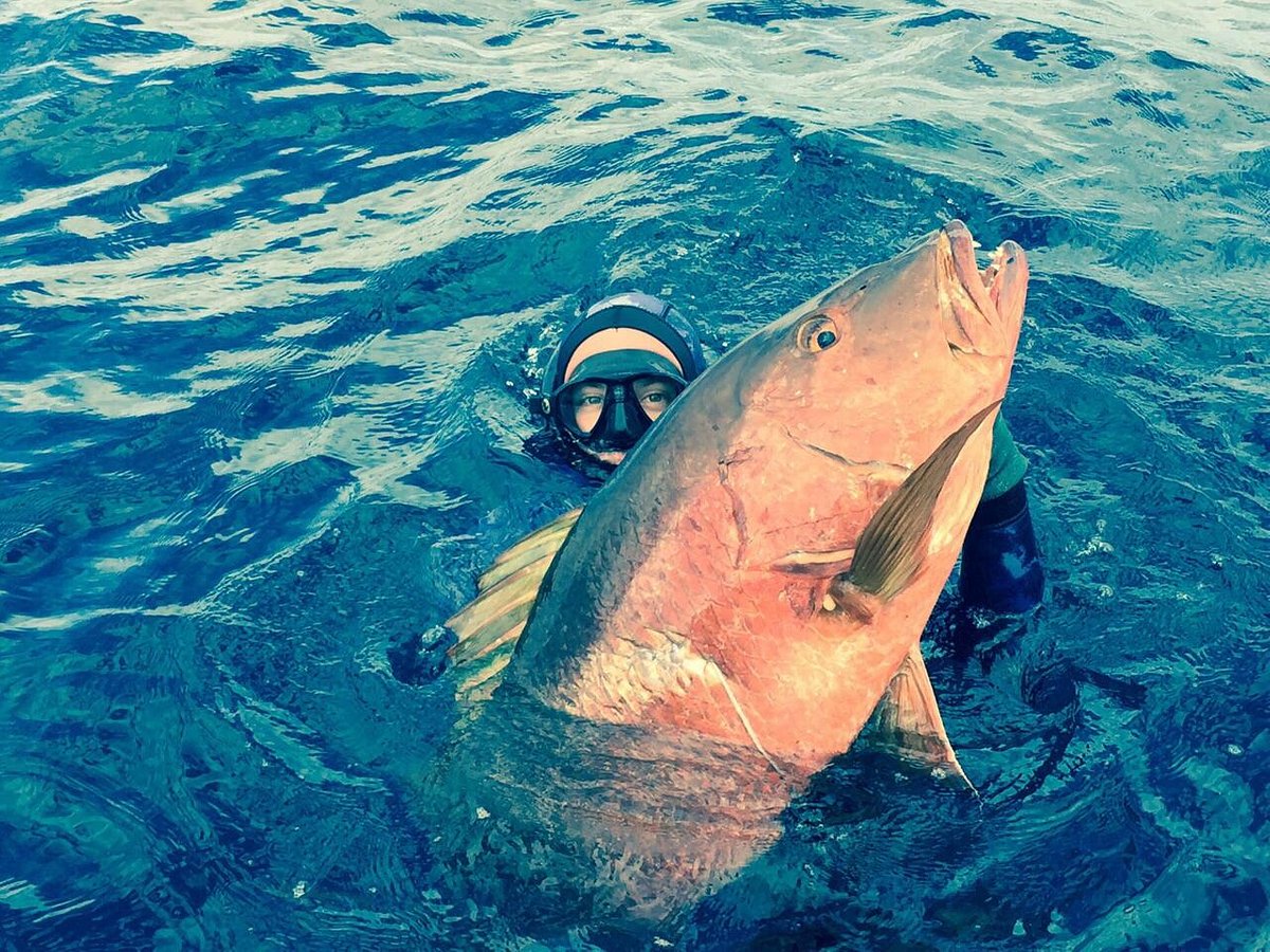 Pesca Submarina, Pistoleros Del Mar