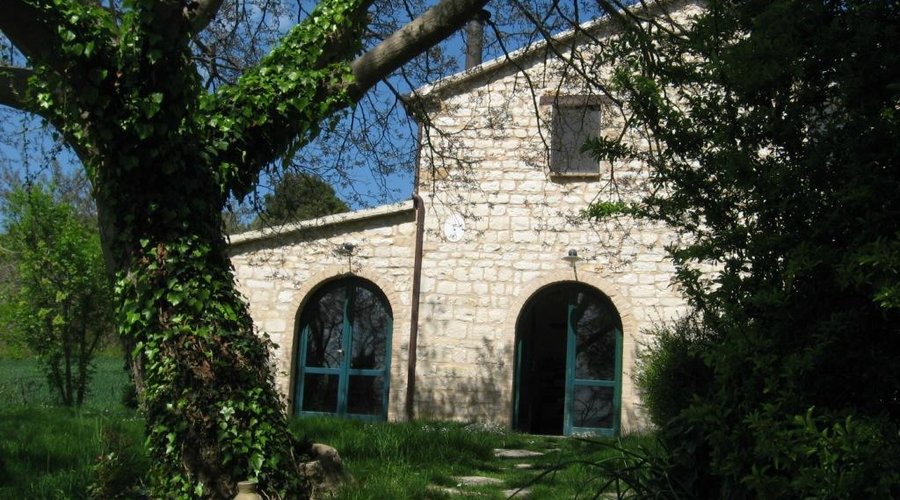 Esterno