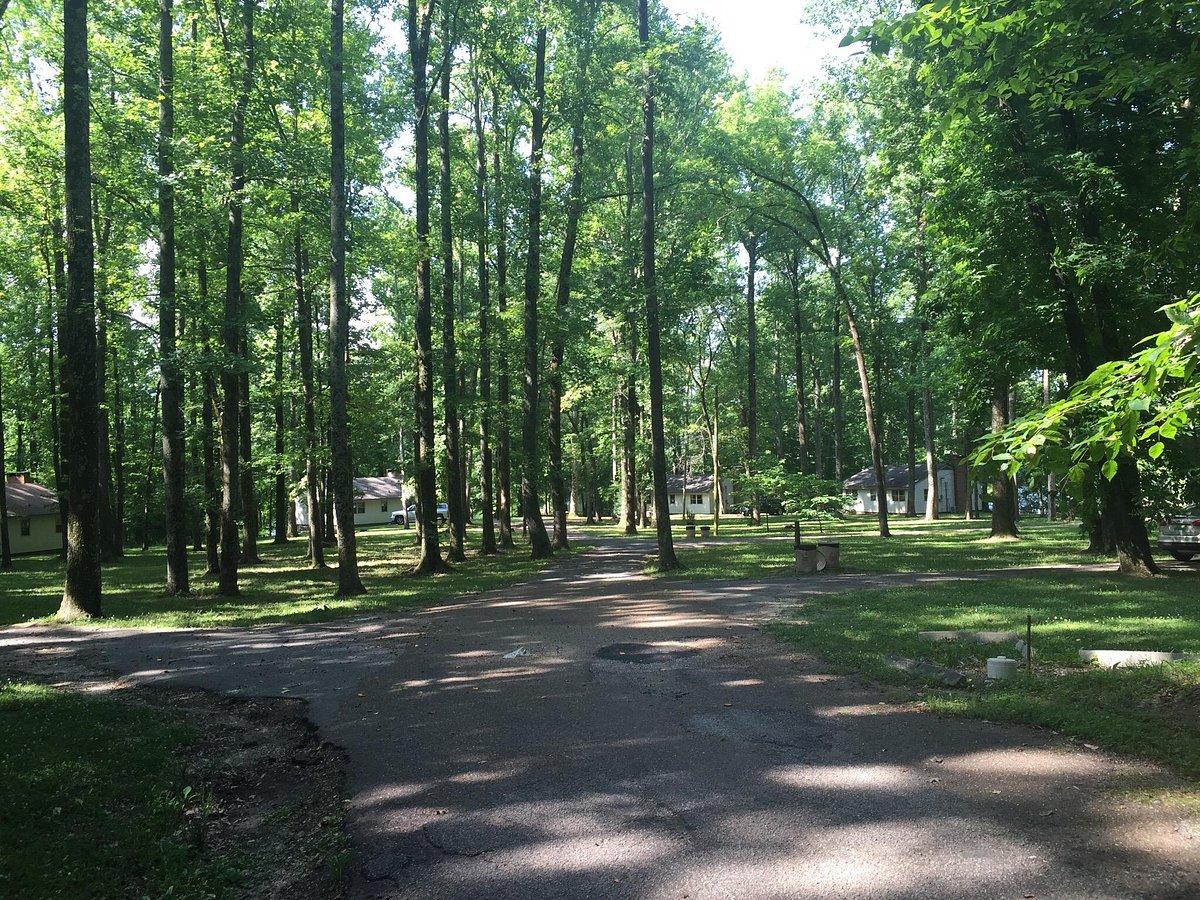 se permiten perros en los parques estatales de missouri stzte park campgrounds