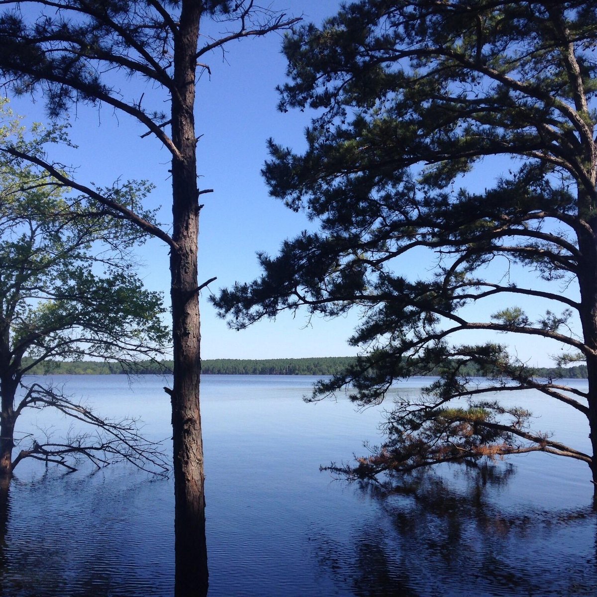 McGee Creek State Park (Atoka): All You Need to Know