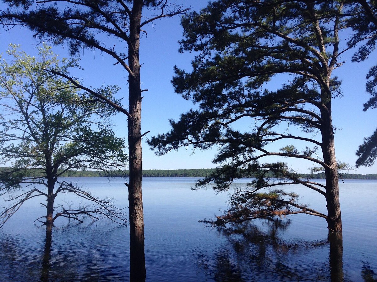McGee Creek State Park (Atoka) - All You Need to Know BEFORE You Go