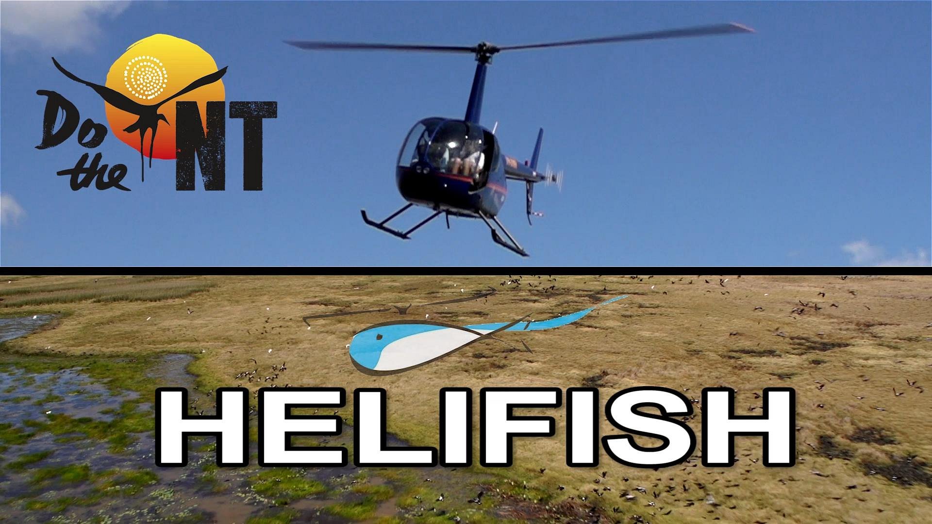 helifish tours darwin