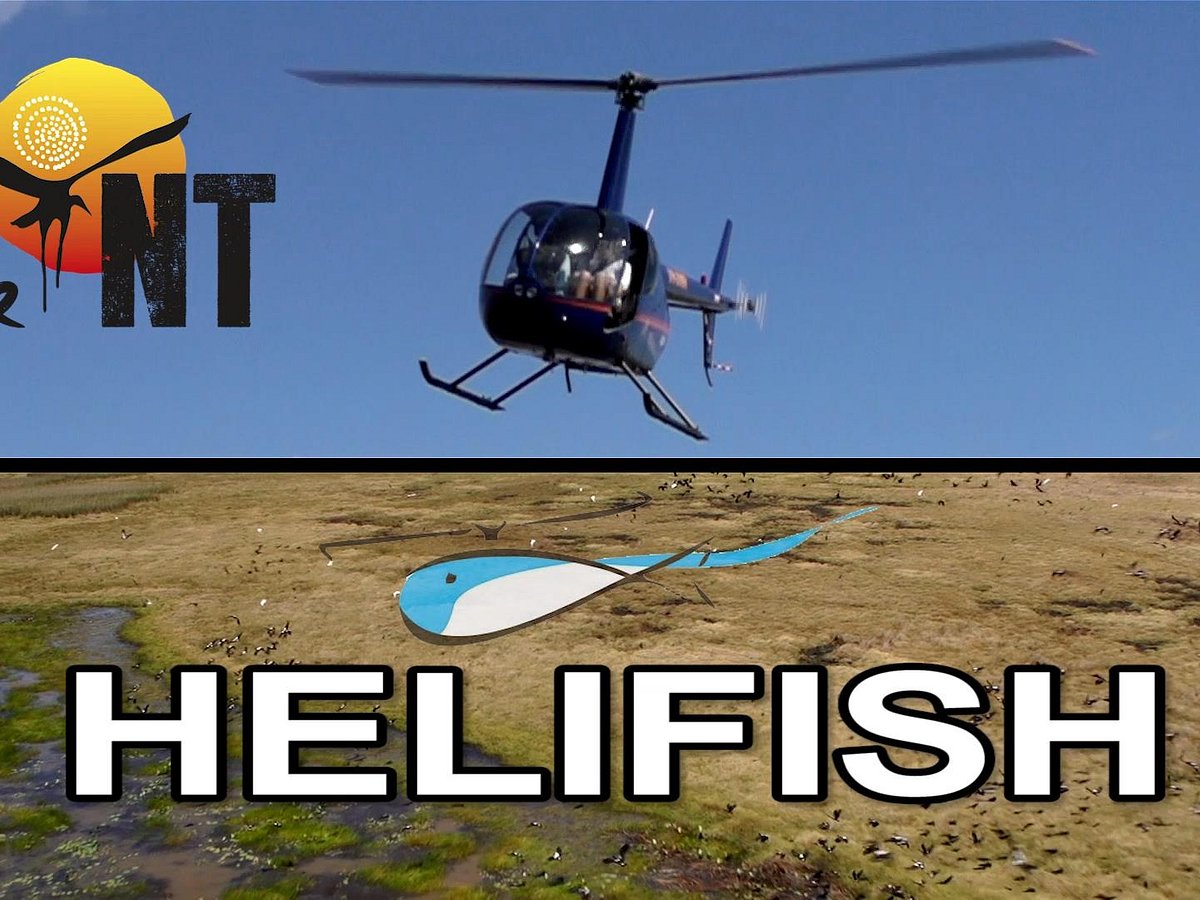 Heli Fishing Darwin, Helifish Trips Darwin