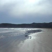 Norman Beach
