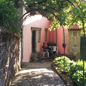 Delightful Garden