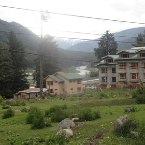 neighbours