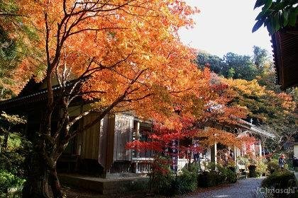 The 15 Best Things To Do In Bungotakada 21 With Photos Tripadvisor