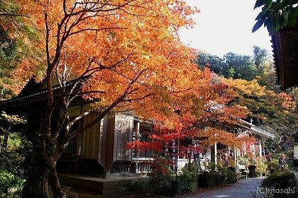 The 15 Best Things To Do In Bungotakada 21 With Photos Tripadvisor The 15 Best Things To Do In Bungotakada 21 With Photos Tripadvisor