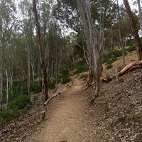 First .25 mile of trail.
