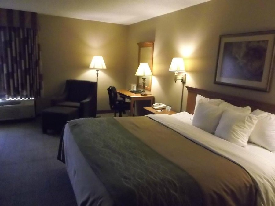 Quality Inn San Antonio Fiesta At Six Flags 56 7 1 Updated 2020 Prices Hotel Reviews Tx Tripadvisor