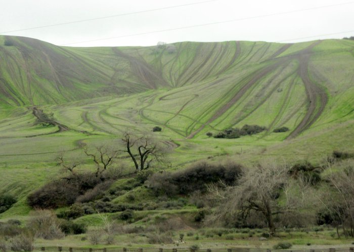 Carnegie State Vehicular Recreation Area, Tracy, Ca