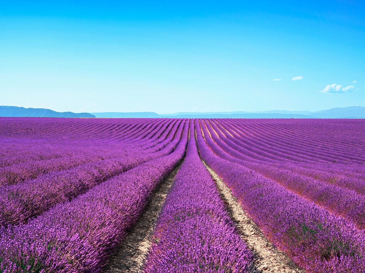 A la Francaise! Provence - All You Need to Know BEFORE You Go (2024)