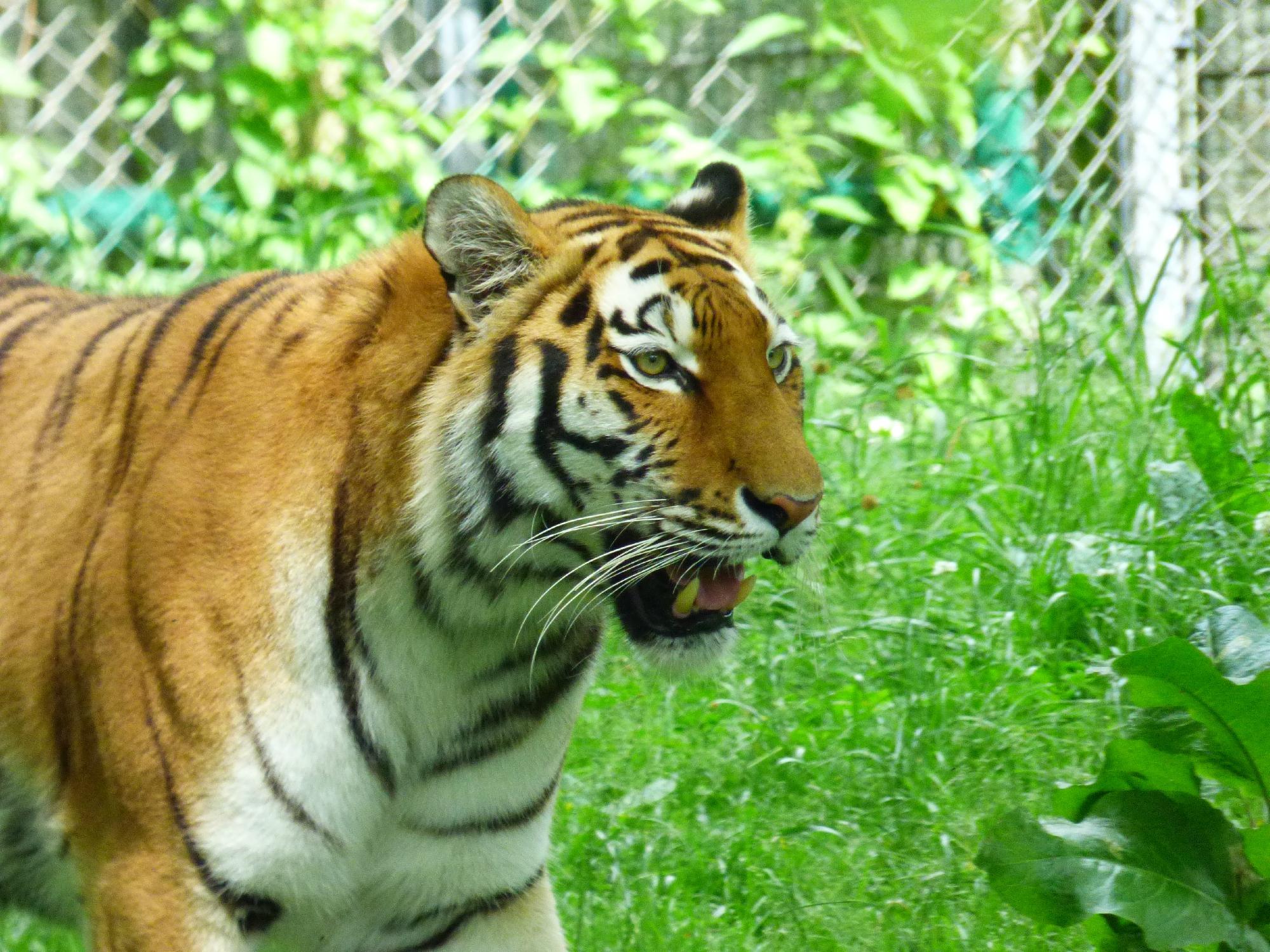 Eintritt Tierpark Hellabrunn München und 2 Nächte outlet München ab 139€