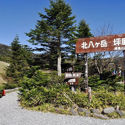 茅野の自然 野生動物生息エリア 茅野の自然 野生動物生息エリアをチェックする トリップアドバイザー 茅野の自然 野生動物生息エリア 茅野の自然 野生動物生息エリアをチェックする トリップアドバイザー