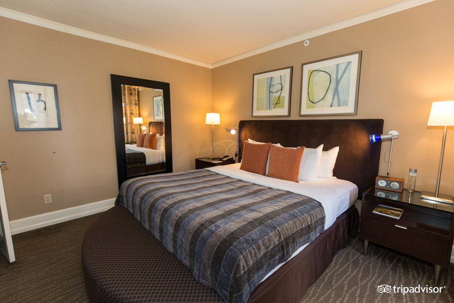 HOTEL ANDRA - Updated 2021 Prices, Reviews, and Photos (Seattle, WA ...