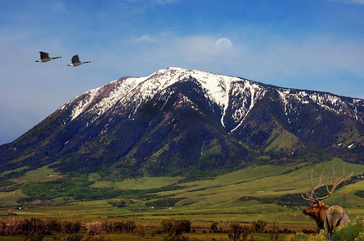 Elk mountain. ЭЛК-Маунтин. Elk Mountain Wyoming. Вайоминг егеря. Landio.