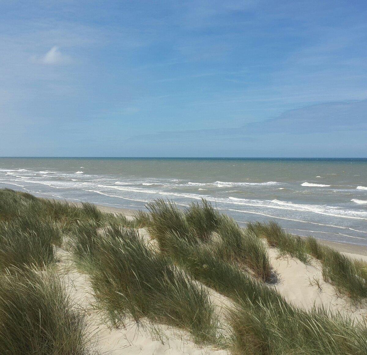 Reserve Naturelle Dune Marchand (Bray-Dunes) 2022 Ce quil faut ...