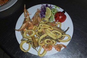 Cibo