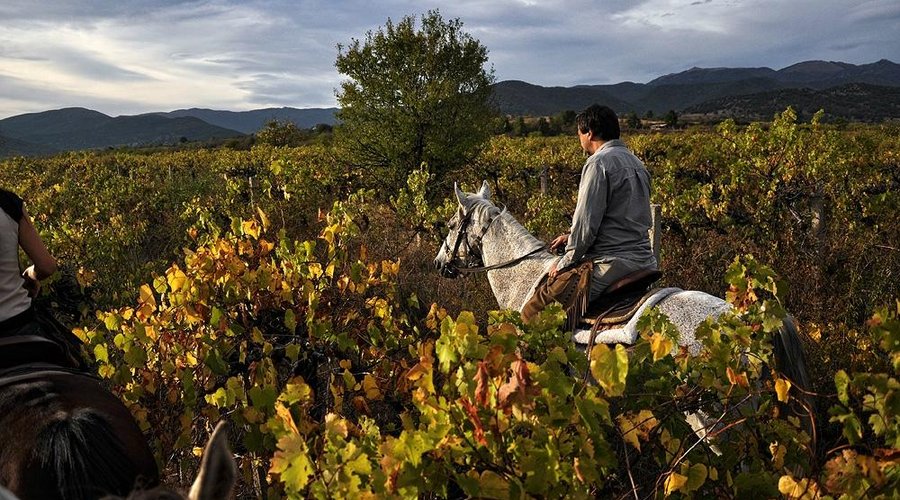 1-day horse riding in Sredna Gora
