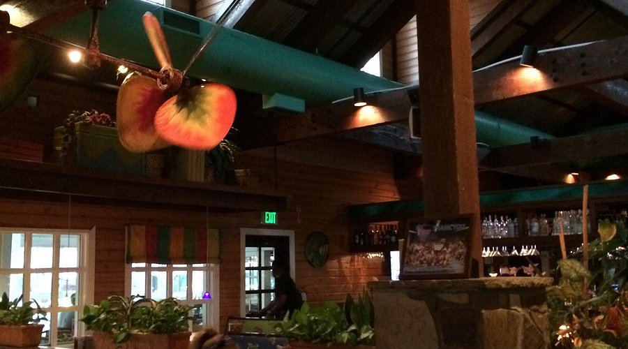 Bahama Breeze
