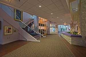 Kellogg Conference Hotel At Gallaudet University in Washington DC, image may contain: Staircase, Flooring, Floor, Lighting