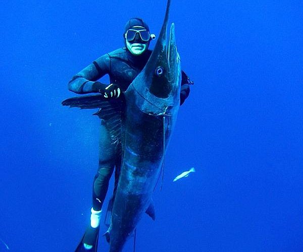 Thoughts on Abellan Albacore 130 vs Bleutec Oceanborn 125 & King Cobra -  Page 5 -  - The World's Largest Spearfishing Diving Boating  Social Media Forum