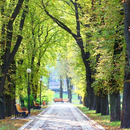 Мариинский парк, Киев: лучшие советы перед посещением - Tripadvisor